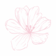 Bijoux Fleurs